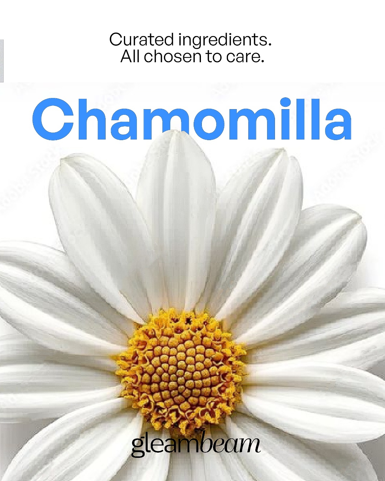 Chamomilla Recutita (Matricaria) Extract